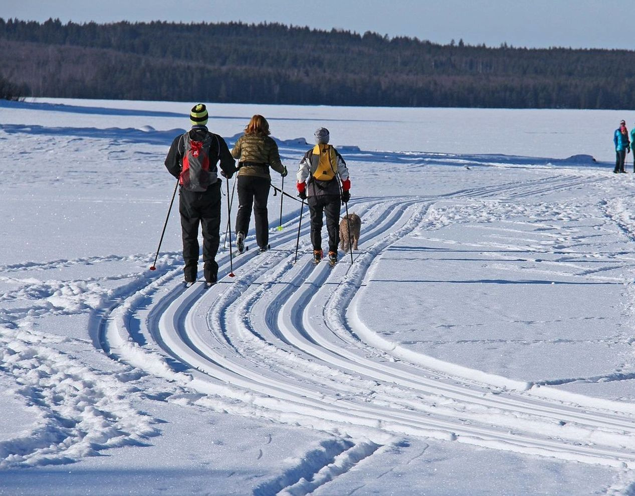 Two guides reading a paper map on a hillside